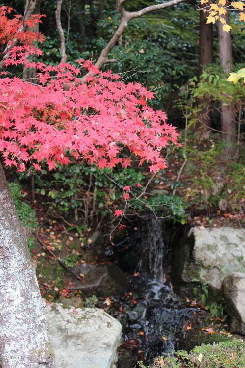 bIMG_0849百済寺庭園滝.jpg